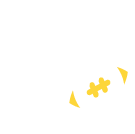 Career & Placement Support